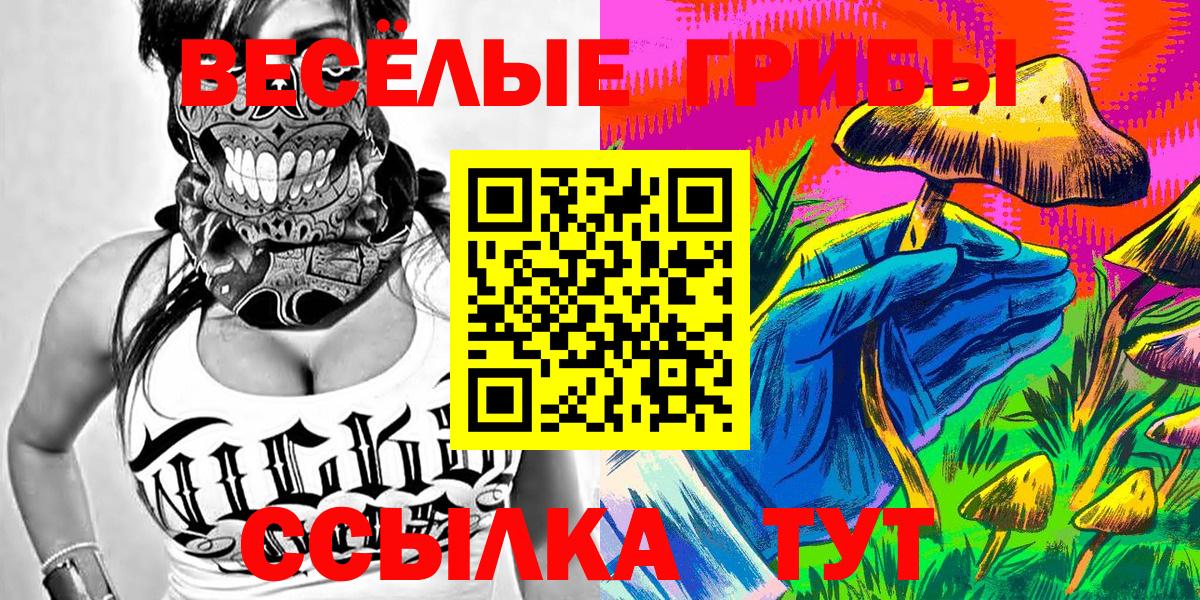 Псилоцибиновые грибы Psilocybe  Вход с VPN  цены наркотик  Гудермес  Псилоцибиновые грибы прущие грибы 